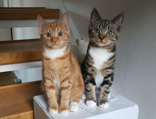 Eric and Ernie