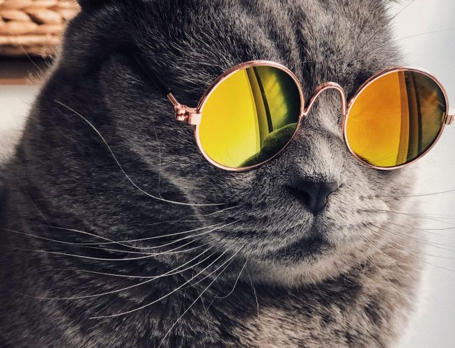 Jinxy